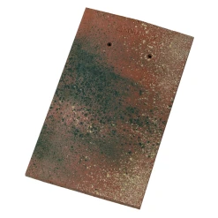 Wienerberger Tuile Plate En Argile Haut De Gamme - Tempo - 18,5 X 31 Cm - Patiné Champagne