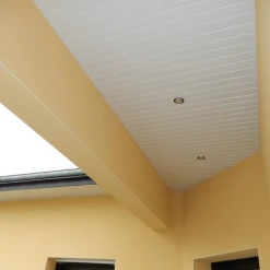 Mep Lambris Alvéolaire Plancreux SE En PVC Pour L'extérieur - - X ép. -VMZinc Boutique 1 31