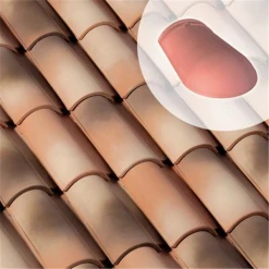 Arêtier D'about - AK196