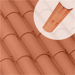 Tuile Canal 50/21 à Talon TEJAS BORJA - Rouge