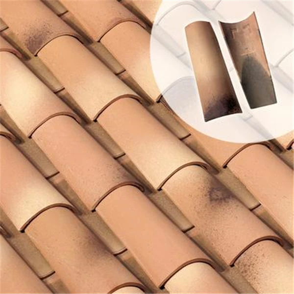 Tuile Canal Midi En Couvert Et/ou Courant - Silvacane Littoral 2 Tuile Canal Midi En Couvert Et/ou Courant - Silvacane Littoral – Image 2