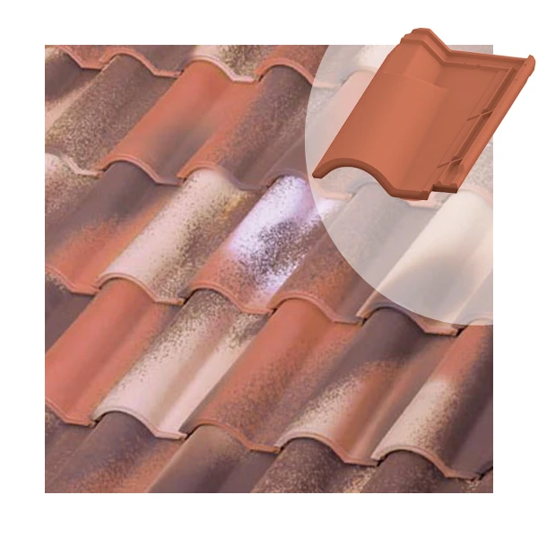 Tuile Chatière TB-12 Tejas Borja - Nature Bidasoa - 440 MM X 260 MM 2 Tuile Chatière TB-12 Tejas Borja - Nature Bidasoa - 440 MM X 260 MM – Image 2