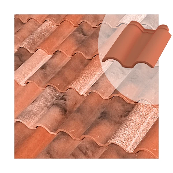 Tuile Et Demie TB-12 Tejas Borja - Nature Castilla - 436 MM X 360 MM 2 Tuile Et Demie TB-12 Tejas Borja - Nature Castilla - 436 MM X 360 MM – Image 2