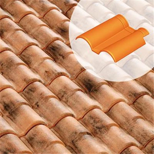 Terreal Double Rive 3/4 Pureau Romane Évolution 1 Terreal Double Rive 3/4 Pureau Romane Évolution