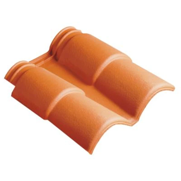 Terreal Double Rive + Clip Romane Canal 1 Terreal Double Rive + Clip Romane Canal