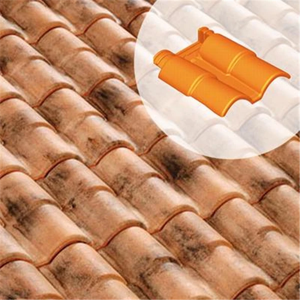 Double Rive à Raccordement Romane Canal 1 Double Rive à Raccordement Romane Canal