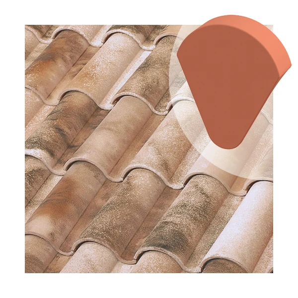 Fronton à Bourrelet De Rive à Rabat Tejas Borja - Nature Lamalou 2 Fronton à Bourrelet De Rive à Rabat Tejas Borja - Nature Lamalou – Image 2