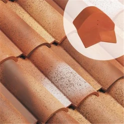 Edilians Fronton Pour Bardelis Grand Modèle