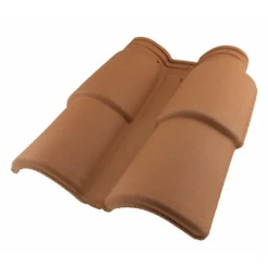 Tuile Double De Rive - Horizon 12 Terreal - 151HD - Vieilli Castel