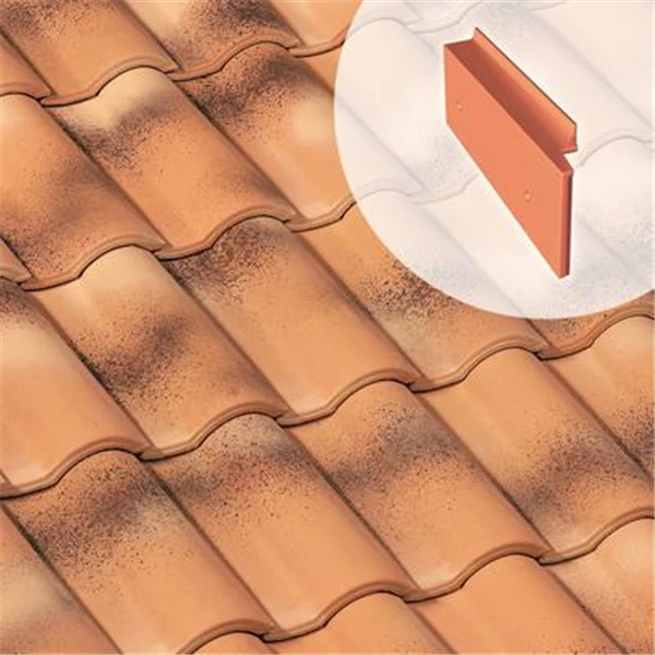 Rive à Rabat Gauche GALLO ROMANE (GL031) 1 Rive à Rabat Gauche GALLO ROMANE (GL031)