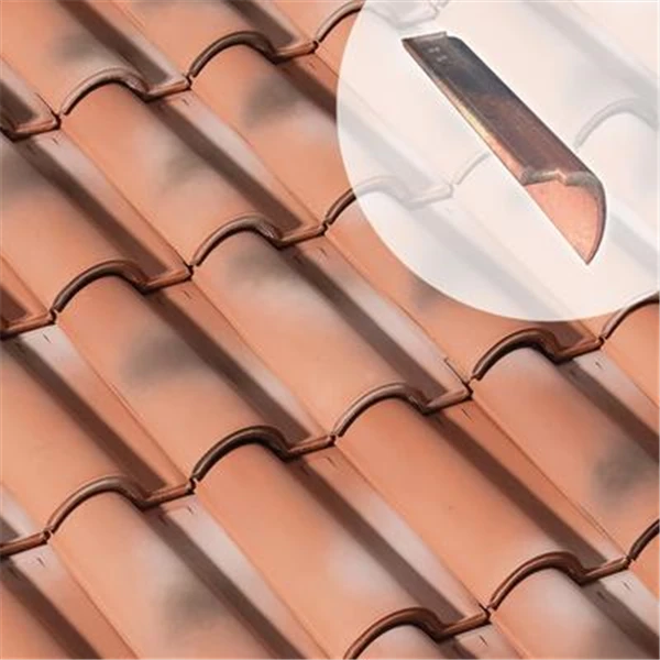 Rive Ronde Droite - AM036 1 Rive Ronde Droite - AM036