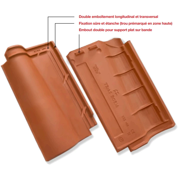 Tuile En Terre Cuite TB-12 Tejas Borja - Nature Castilla - 439 MM X 260 MM 5 Tuile En Terre Cuite TB-12 Tejas Borja - Nature Castilla - 439 MM X 260 MM – Image 5