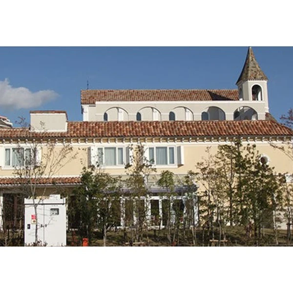 Tuile Oméga 10 Terre Cuite à Double Emboîtement Réf.104 EDILIANS - Vieux Toit 3 Tuile Oméga 10 Terre Cuite à Double Emboîtement Réf.104 EDILIANS - Vieux Toit – Image 3