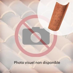 Edilians Tuile Canal Charentaise à Tenon