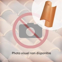 Edilians Tuile Canal Gironde à Tenon 3 Edilians Tuile Canal Gironde à Tenon -VMZinc Boutique tuilecanalgirondetenonim 136065 1