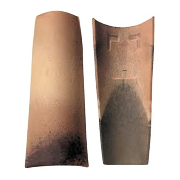 Tuile Canal Midi En Couvert Et/ou Courant - Silvacane Littoral 1 Tuile Canal Midi En Couvert Et/ou Courant - Silvacane Littoral