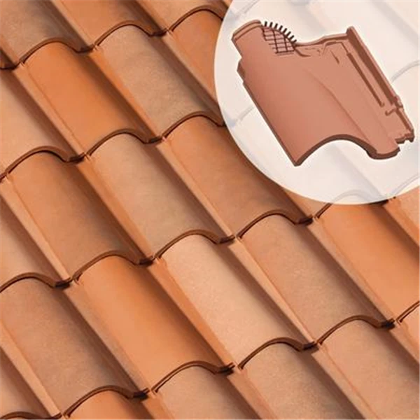 Tuile Chatière Feriane S0111 1 Tuile Chatière Feriane S0111