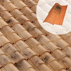 Terreal Tuile Latitude 12