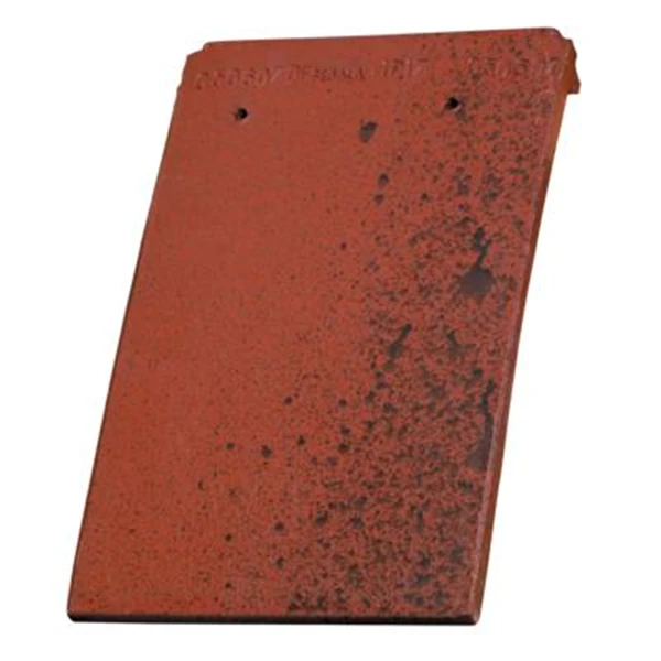 Tuile Plate Sologne 2 Tuile Plate Sologne – Image 2