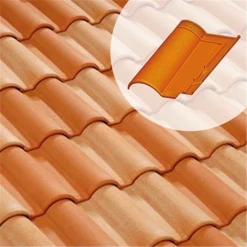 Terreal Tuile Romane Évolution 3/4 Pureau