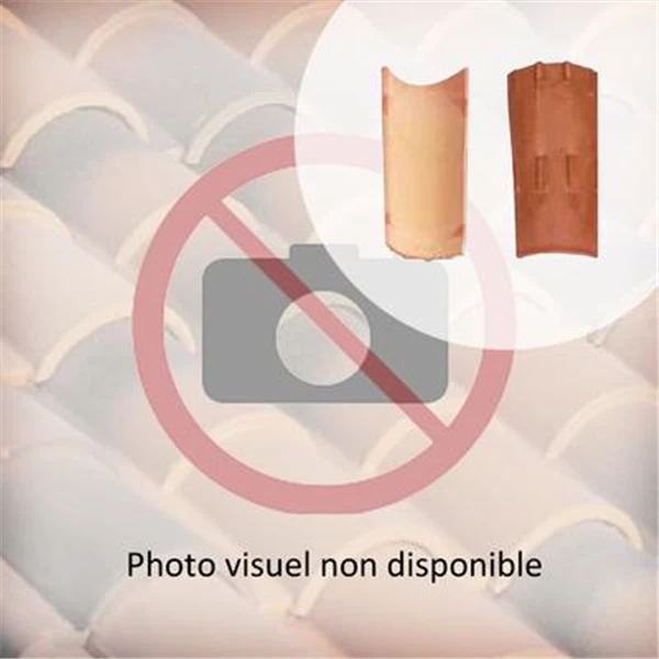 Biobric Tuile Canal Terre Cuite Tradi'fix Tegula 46 - Vieilli 1 Biobric Tuile Canal Terre Cuite Tradi'fix Tegula 46 - Vieilli
